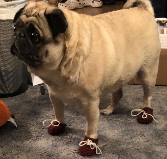 �������� ���������� ���� �1983 (46 ����)