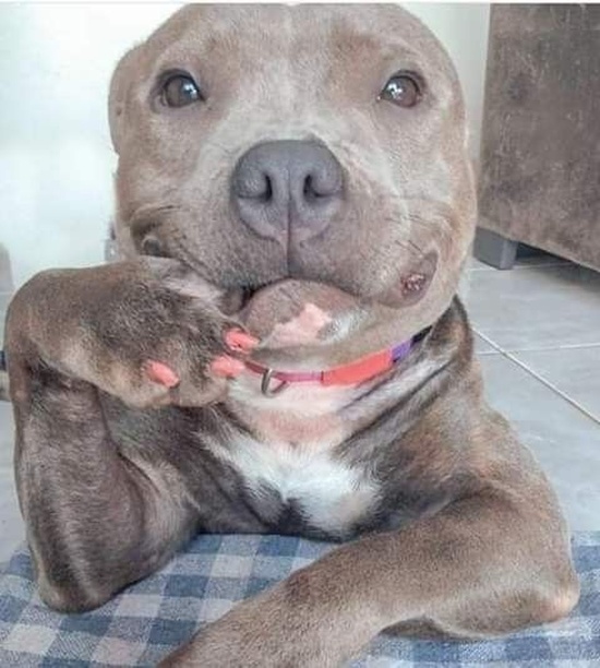 �������� ���������� ���� �1983 (46 ����)