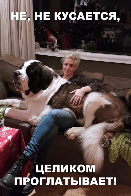 ����� � ���� ��� ��������� �������� (30 ����)