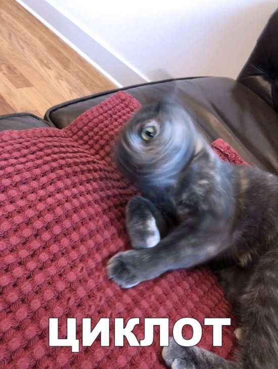 ����� � ���� ��� ��������� �������� (30 ����)