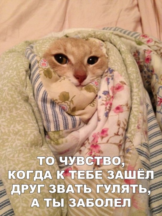 ����� � ���� ��� ��������� �������� (30 ����)