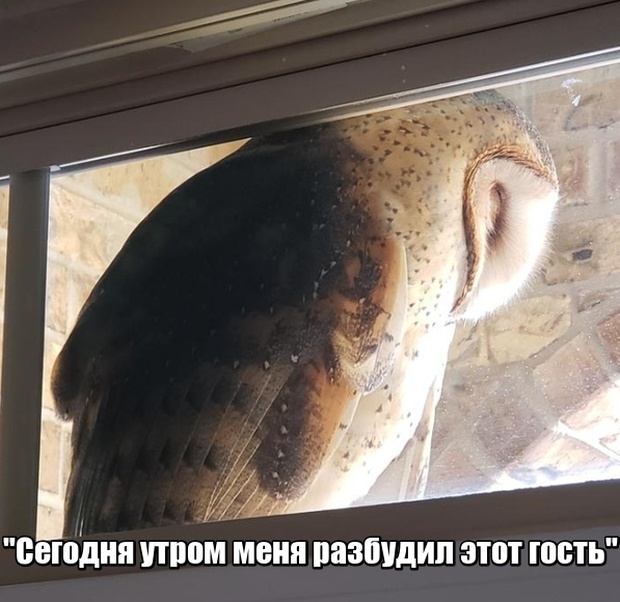 �������� ���������� ���� �2027 (41 ����)