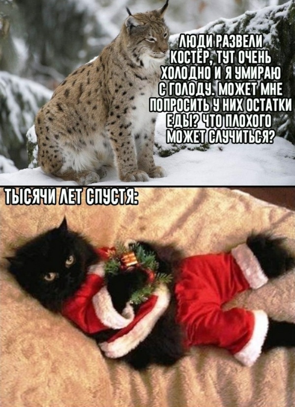 �������� ���������� ���� �2027 (41 ����)