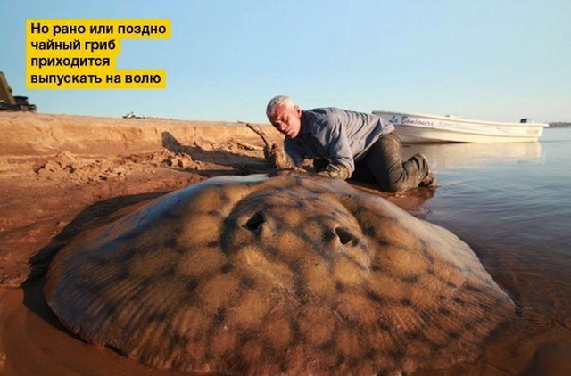 �������� ���������� ���� �2027 (41 ����)