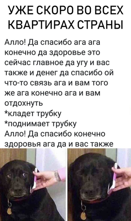 �������� ���������� ���� �2027 (41 ����)