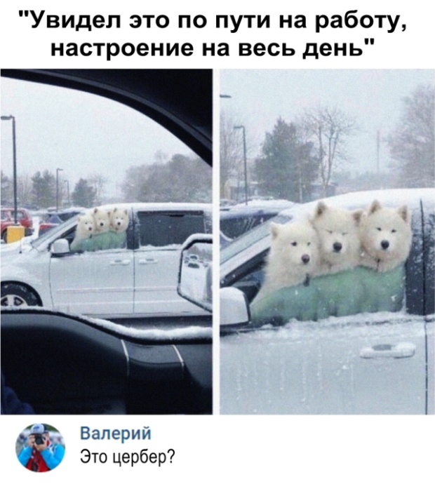 �������� ���������� ���� �2027 (41 ����)