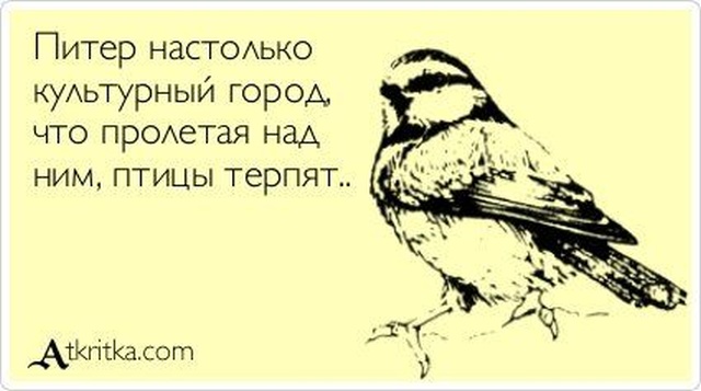 ���� � ����� ��� �����-��������� (27 ����)