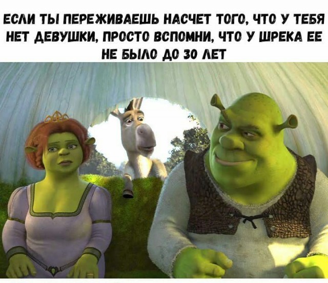 �������� ���������� ���� �2235 (65 ����)