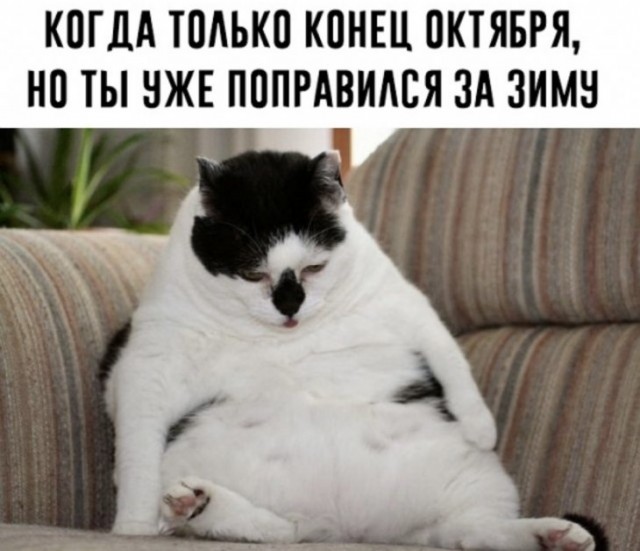 �������� ���������� ���� �2235 (65 ����)