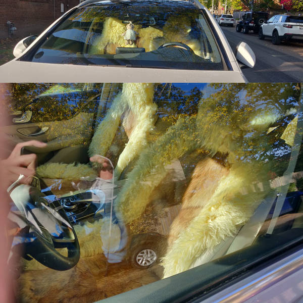 �������� ���������� ���� �2235 (65 ����)