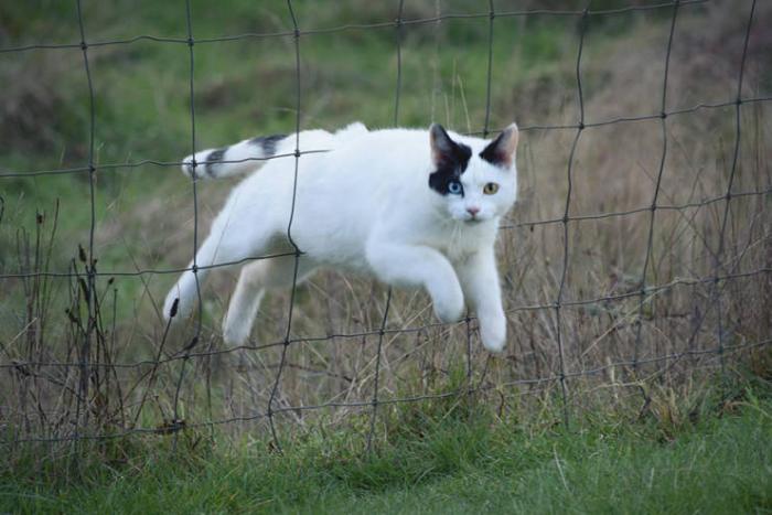 �������� ���������� ���� �2235 (65 ����)