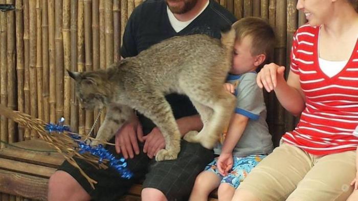 �������� ���������� ���� �2235 (65 ����)