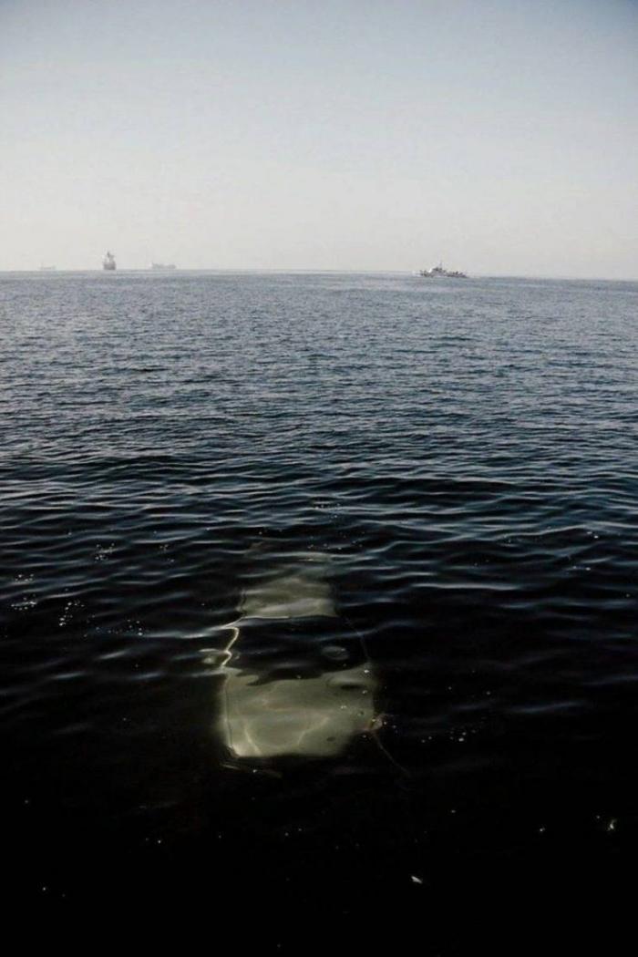 �������� ���������� ���� �2235 (65 ����)