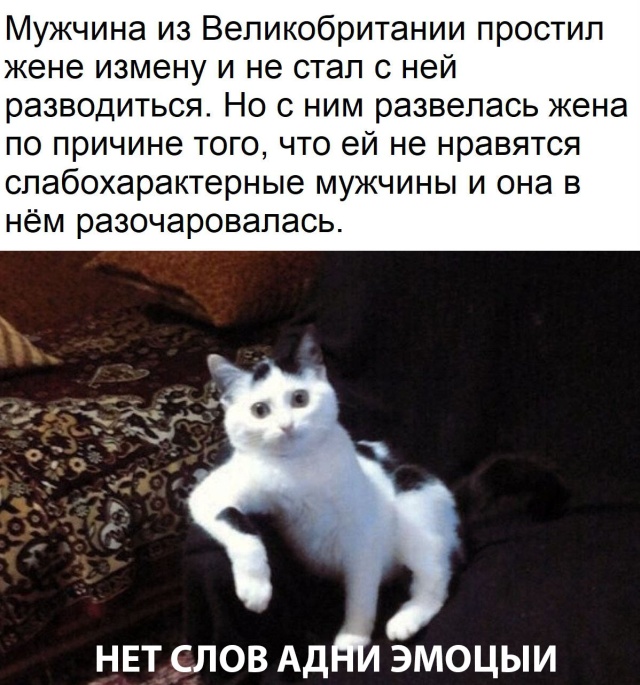 �������� ���������� ���� �2235 (65 ����)