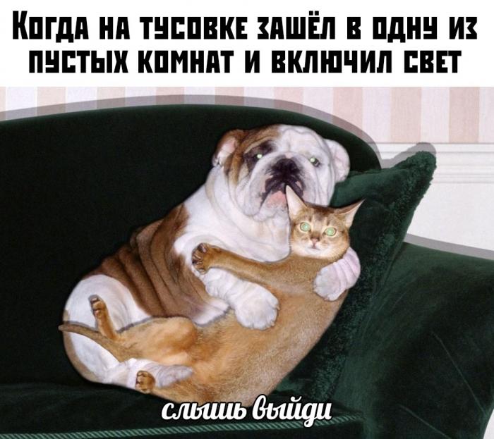 �������� ���������� ���� �2235 (65 ����)