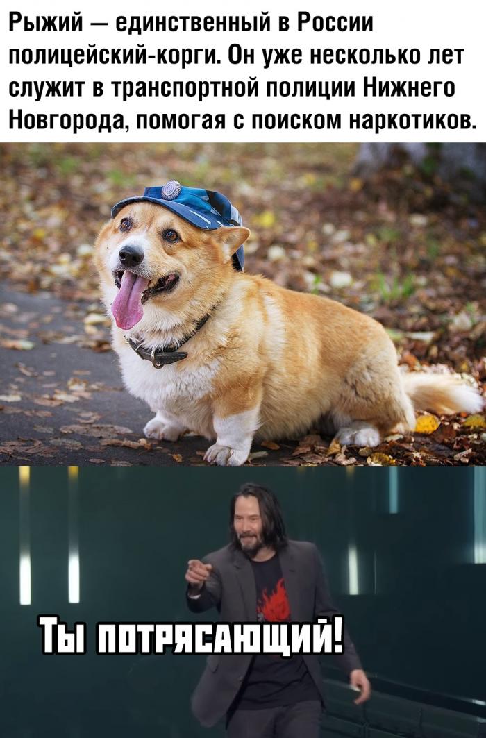 �������� ���������� ���� �2235 (65 ����)