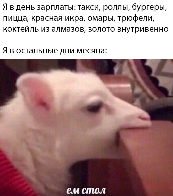 �������� ���������� ���� �2235 (65 ����)