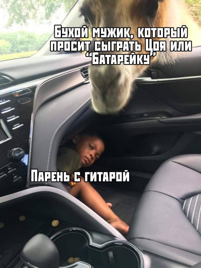 �������� ���������� ���� �2235 (65 ����)