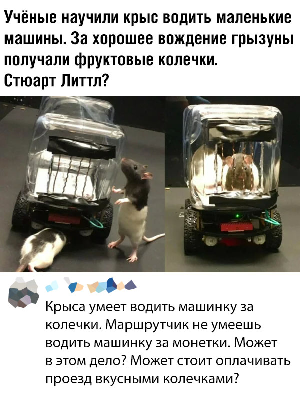 �������� ���������� ���� �2235 (65 ����)