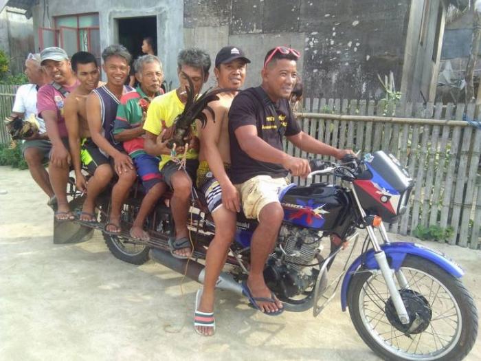 �������� ���������� ���� �2255 (75 ����)