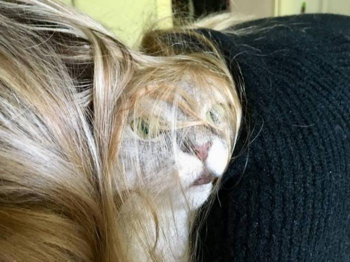 �������� ���������� ���� �2255 (75 ����)