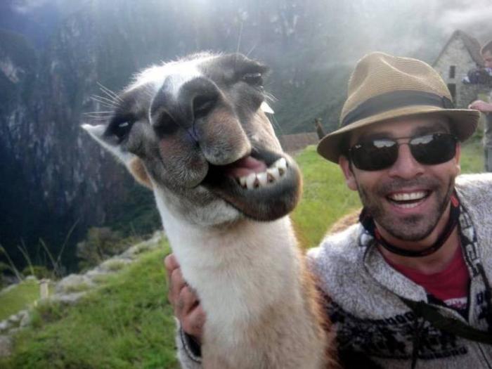 �������� ���������� ���� �2255 (75 ����)