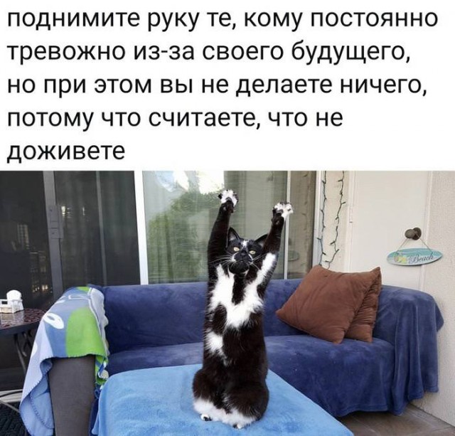 �������� ���������� ���� �2255 (75 ����)