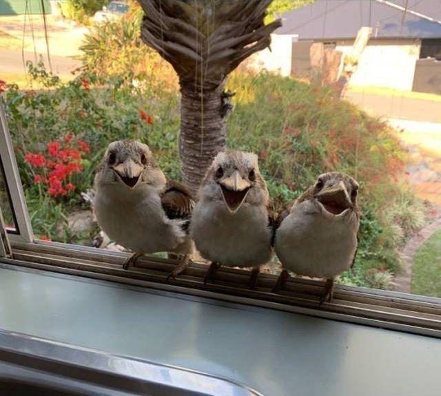 �������� ���������� ���� �2255 (75 ����)