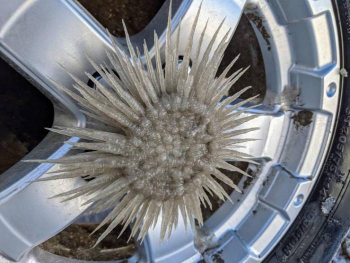 �������� ���������� ���� �2255 (75 ����)