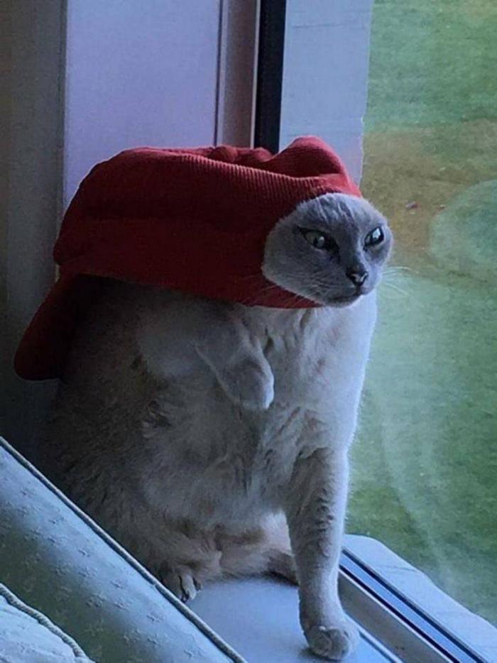 �������� ���������� ���� �2255 (75 ����)