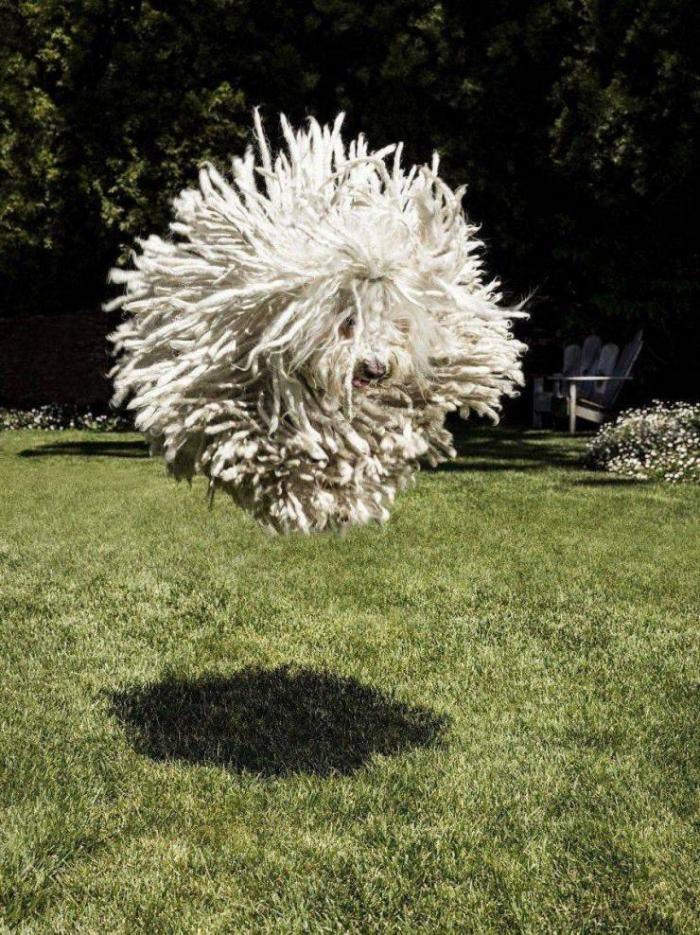 �������� ���������� ���� �2255 (75 ����)