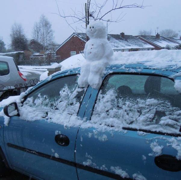 �������� ���������� ���� �2255 (75 ����)