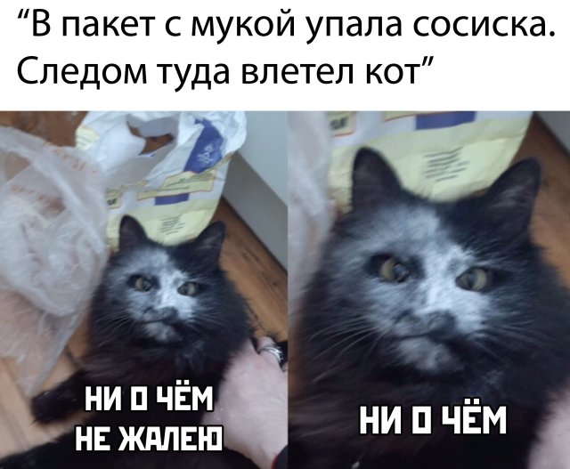 Подборка прикольных фото №2352 (65 фото)