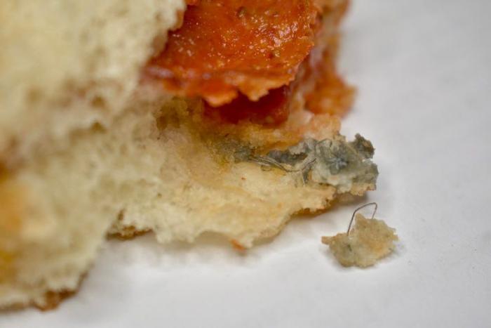 ������ � ����� ��������� (26 ����)