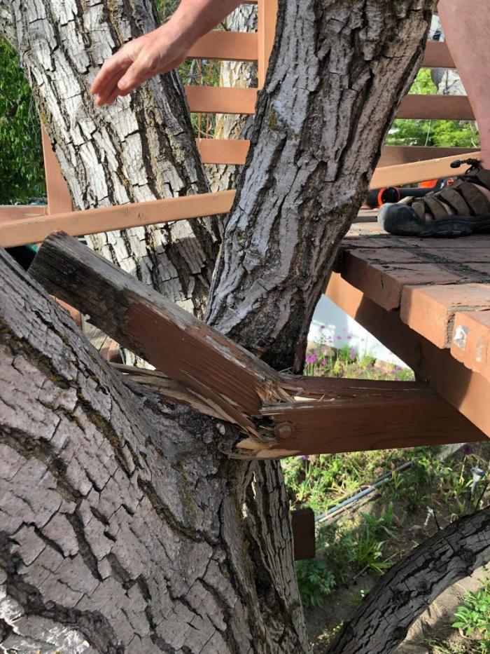 ������ � ����� ��������� (24 ����)