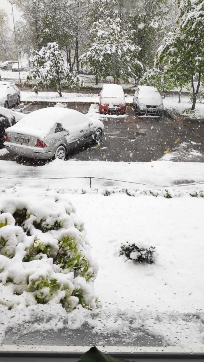 ������ � ����� ��������� (24 ����)