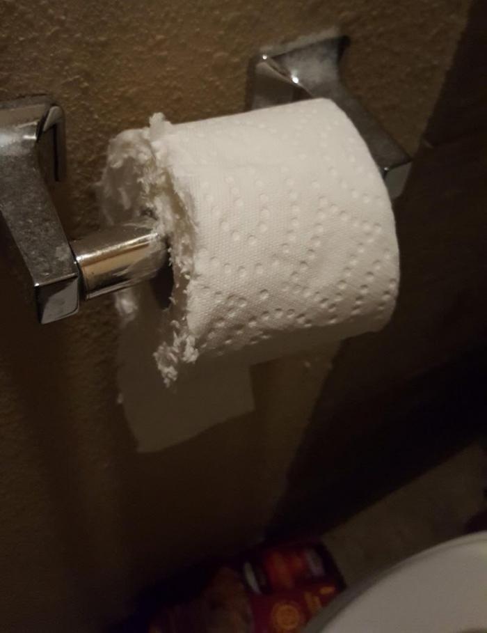 ������ � ����� ��������� (24 ����)