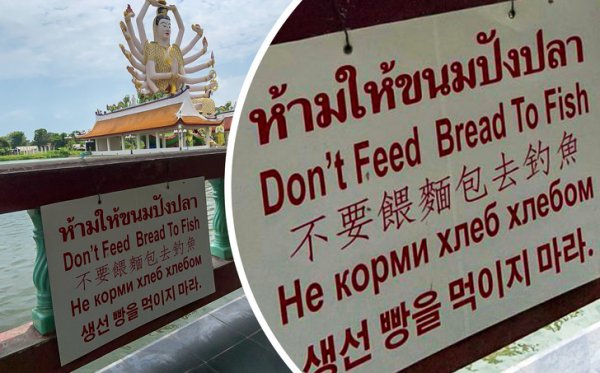 ����, ������� ����������� � ����������� �������� (15 ����)