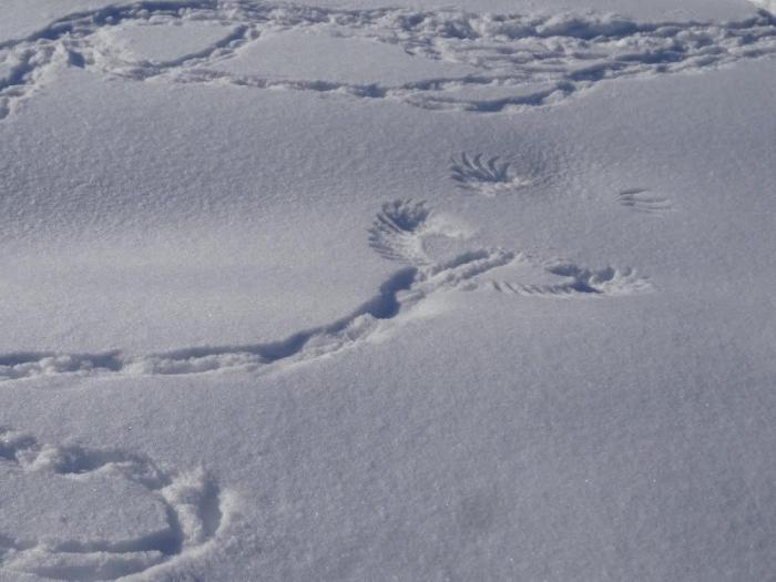 ������ � ����� ��������� (32 ����)