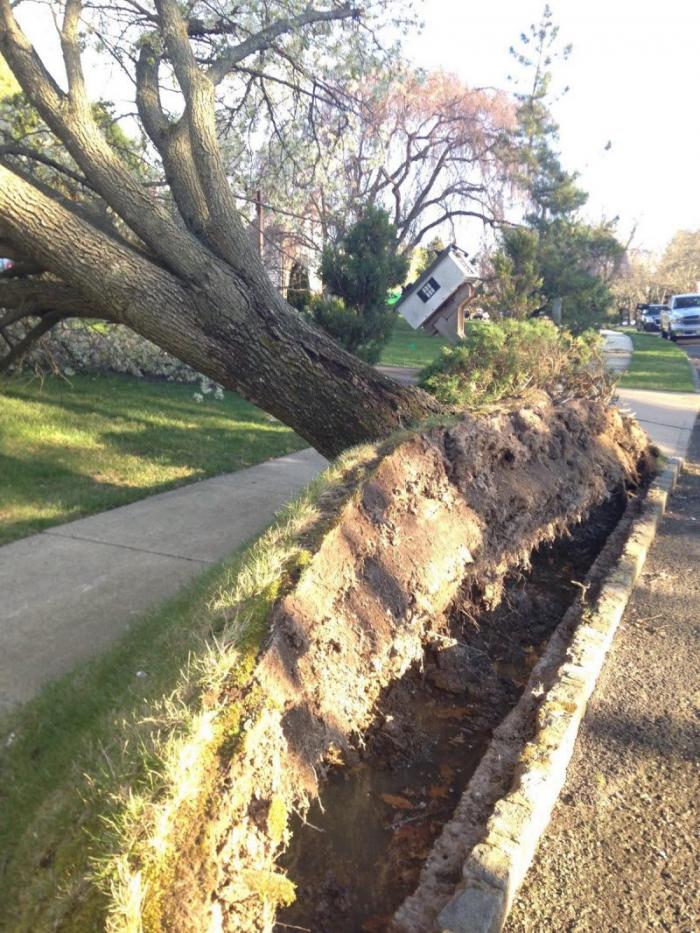 ������ � ����� ��������� (32 ����)