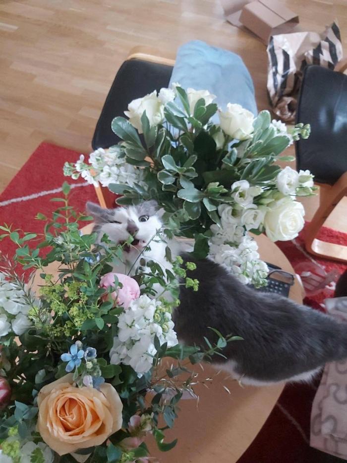 ������ � ����� ��������� (32 ����)