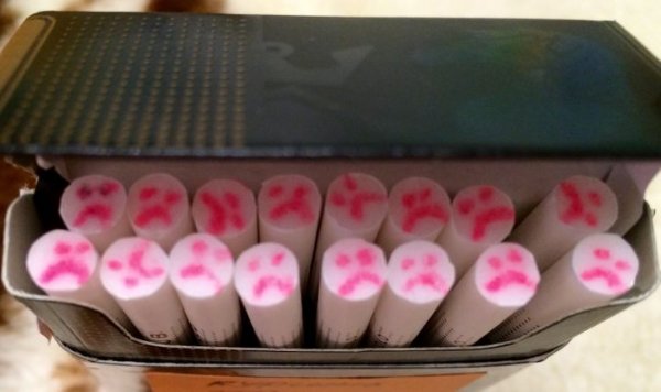 ����, ������� ����������� � ����� ������������� �������� (18 ����)