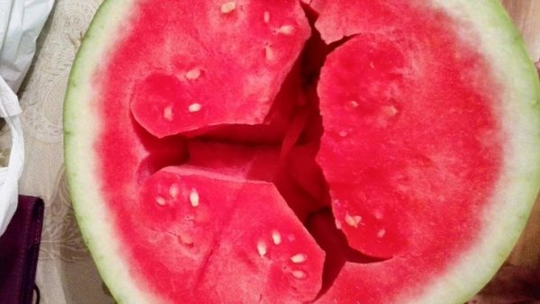 ����, ������� ����������� � ����� ������������� �������� (18 ����)