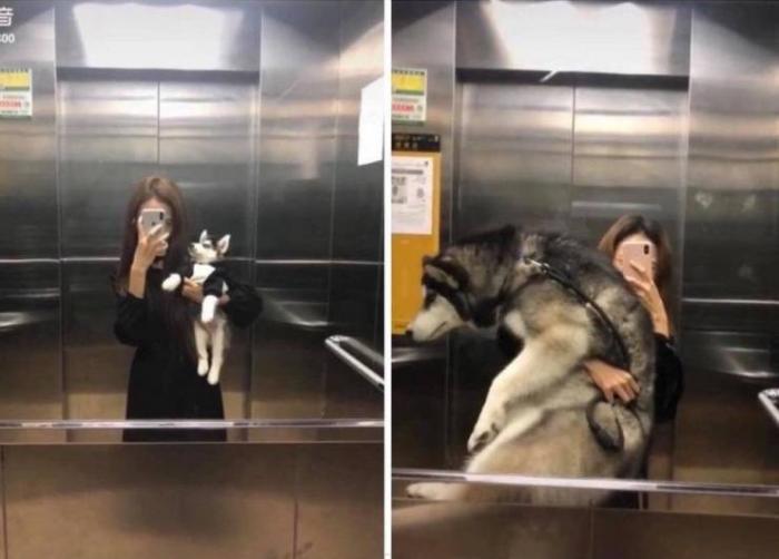 �������� ���������� ���� �2420 (65 ����)