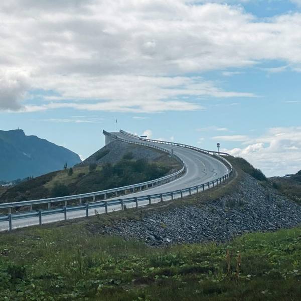 �������� ���������� ���� �2420 (65 ����)