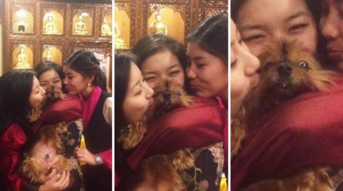 �������� ���������� ���� �2420 (65 ����)