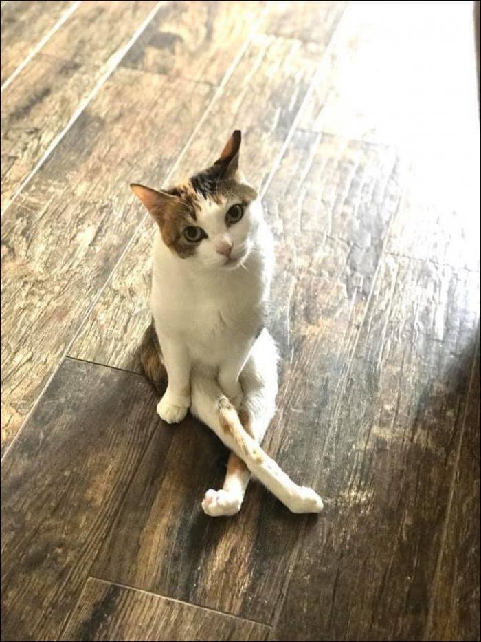 �������� ���������� ���� �2420 (65 ����)