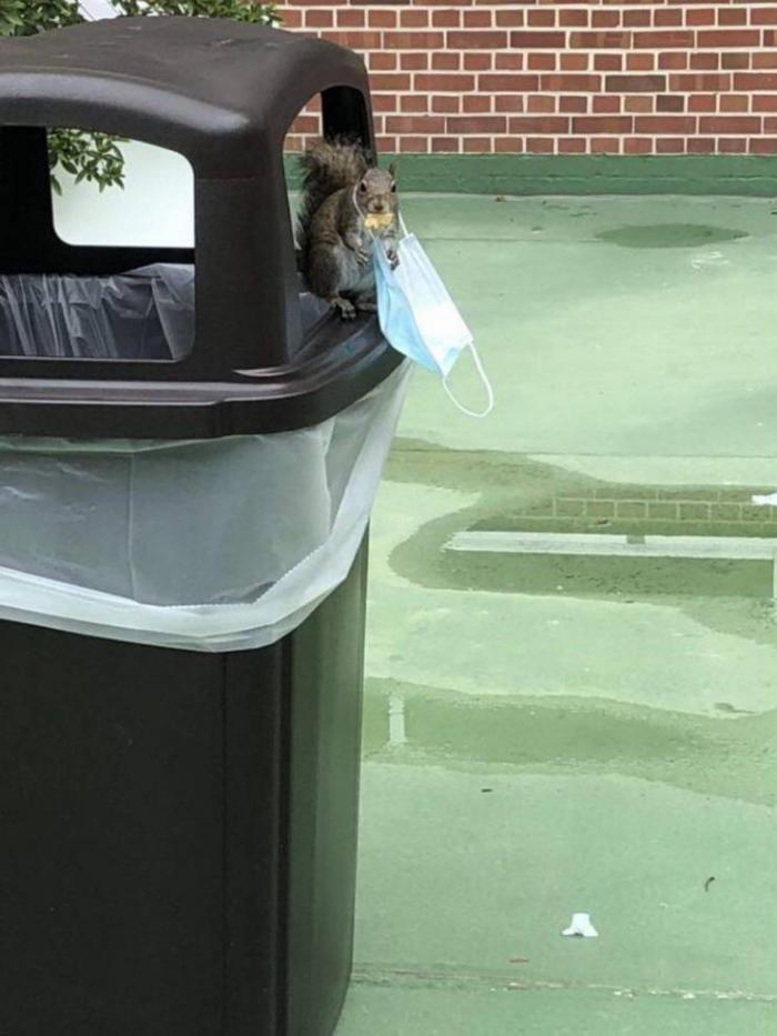 �������� ���������� ���� �2420 (65 ����)