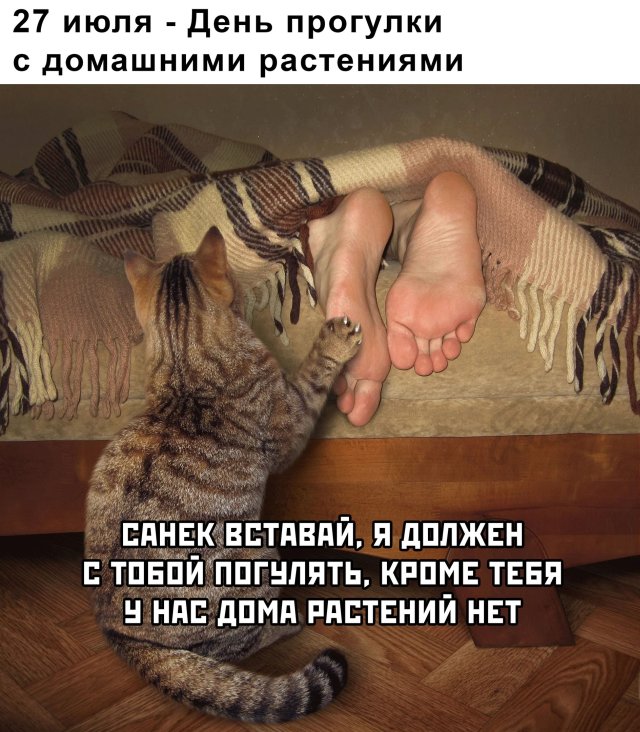 �������� ���������� ���� �2420 (65 ����)