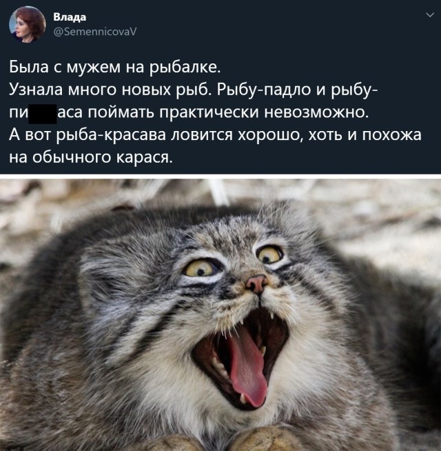 �������� ���������� ���� �2420 (65 ����)